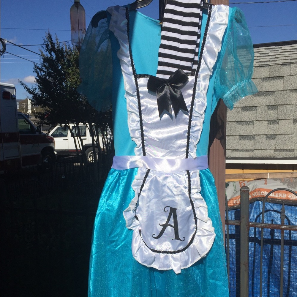 🎃🦋Alice And Wonderland Halloween Costume🦋🎃